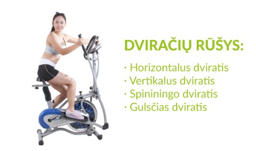dviraciu treniruoklis