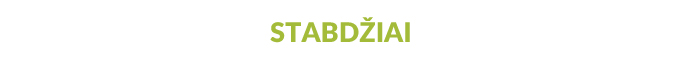 Dviračių stabdžiai