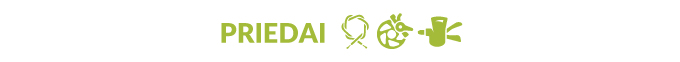 Priedai