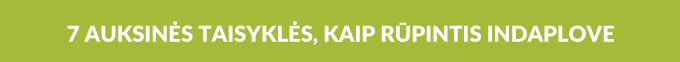 7 auksinės taisyklės kaip rūpintis indaplove