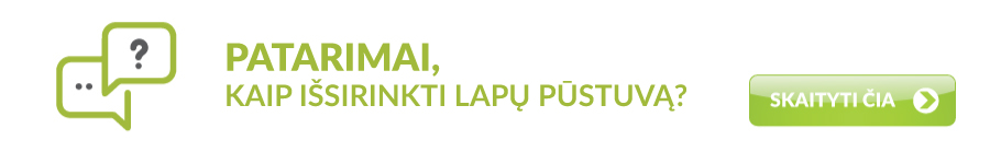 patarimai kaip išsirinkti lapų pūstuvą
