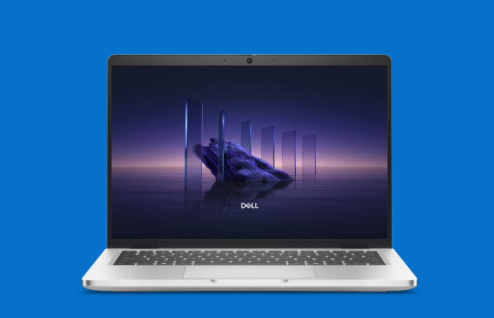 Dell Pro