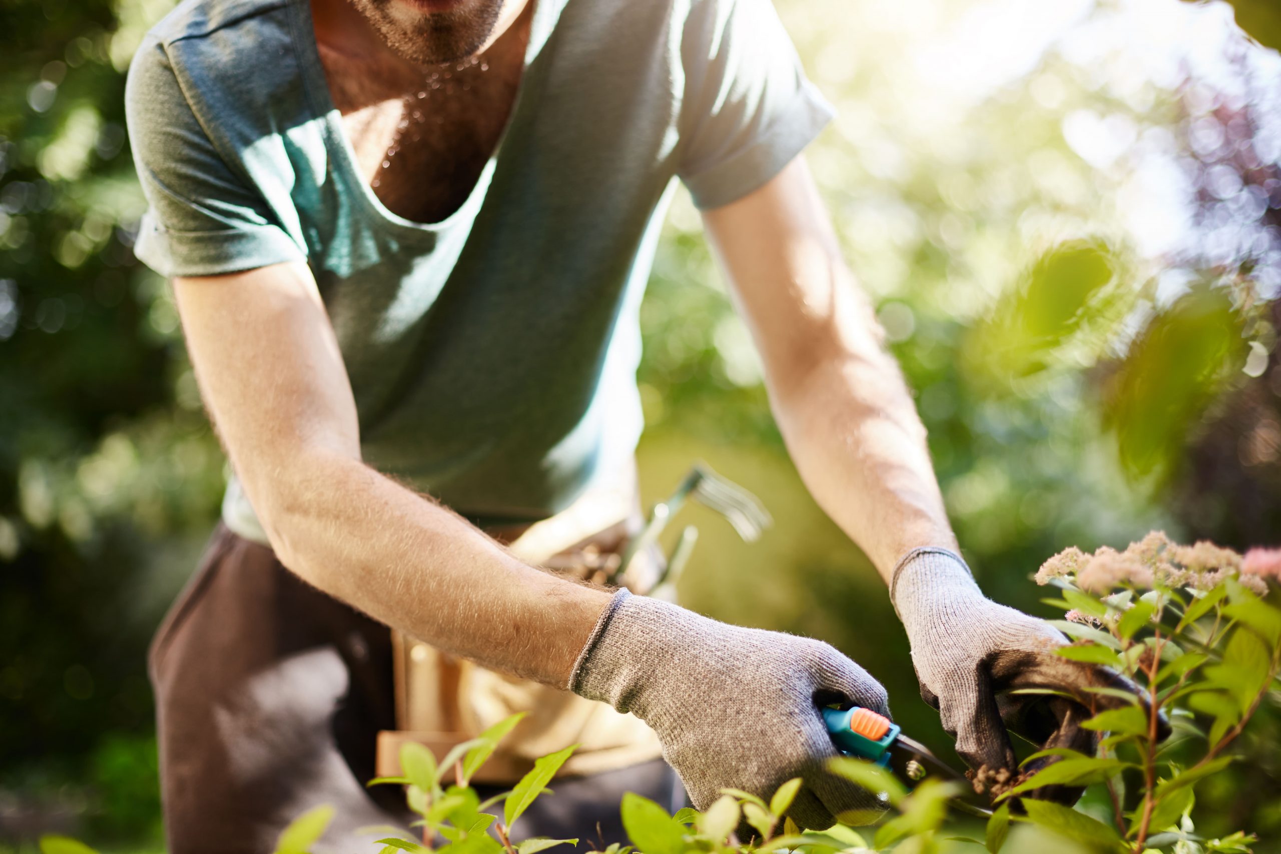 Geriausias šakų smulkintuvas. Vyras dirba savo sode.