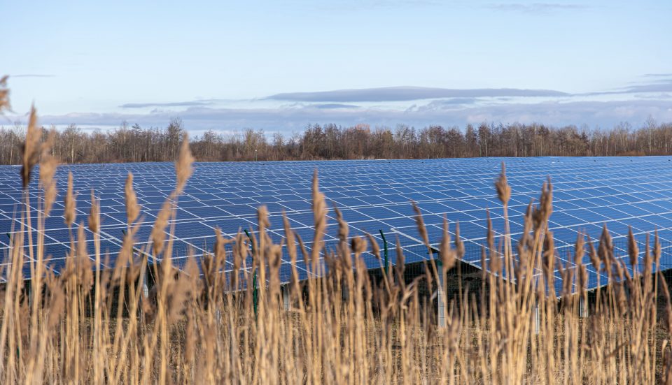 Geriausios saulės elektrinės 2026 metais: į ką verta investuoti?