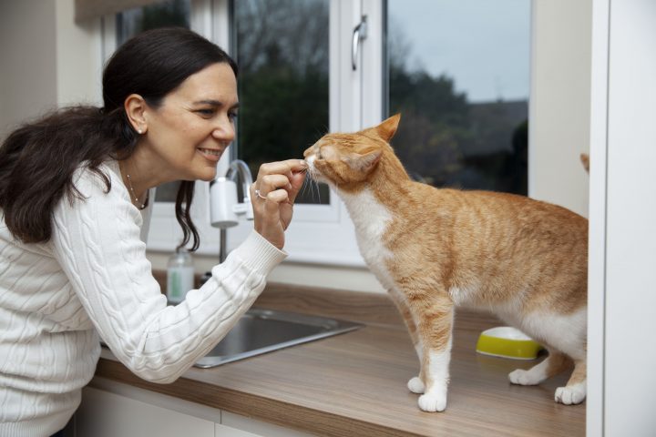 Moteris su katinu. Vitaminai katėms