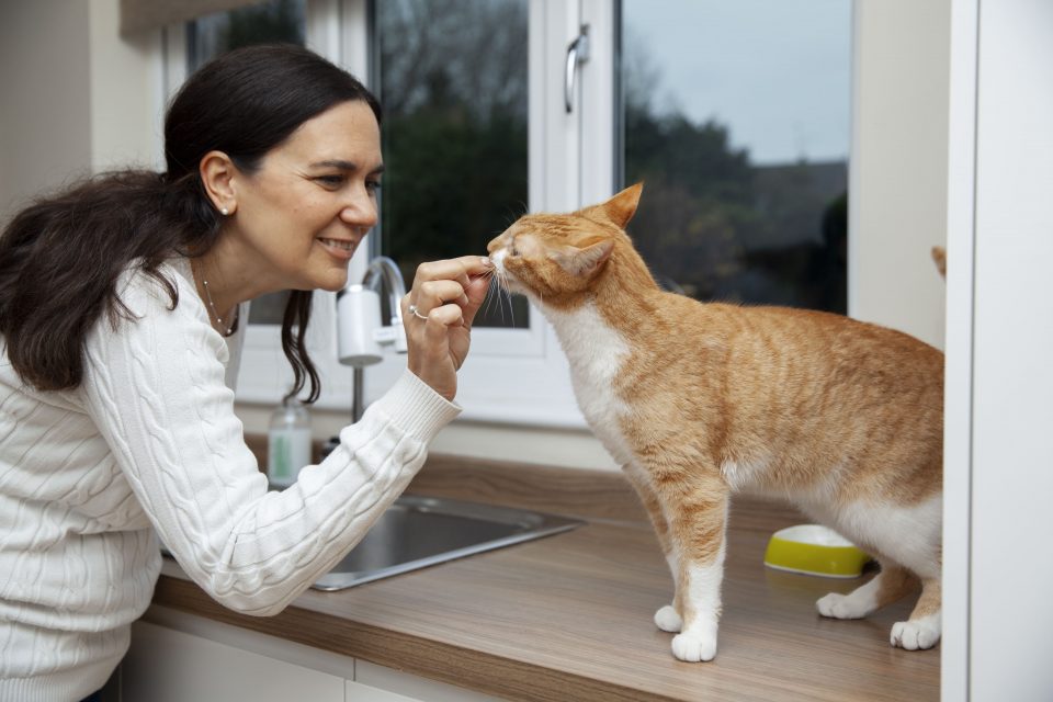 Moteris su katinu. Vitaminai katėms