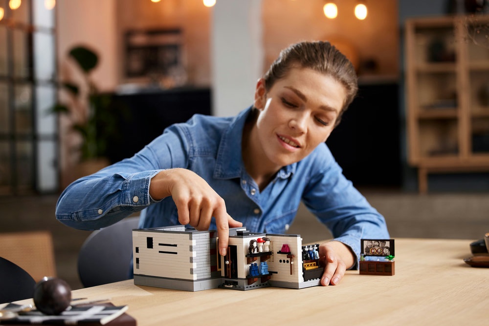 Lego expert