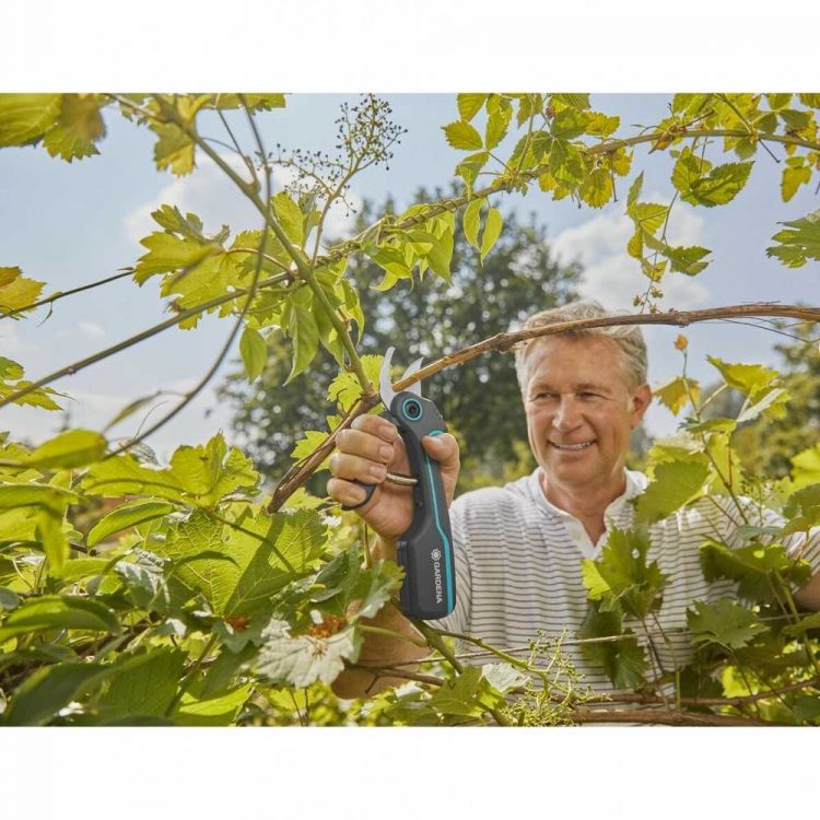 Vyras sode kerpa šakas su akumuliatorinėmis žirklėmis