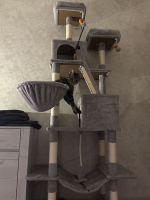 comment-photos
