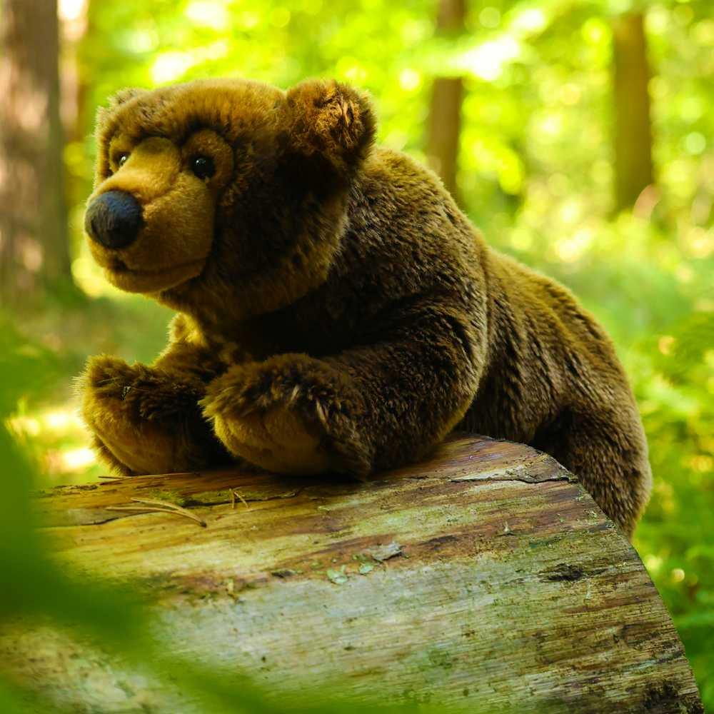 Rappa Eco-Friendly Pliušinis žaislas - meškiukas, 42 cm aprašymas - Prekės nuotrauka