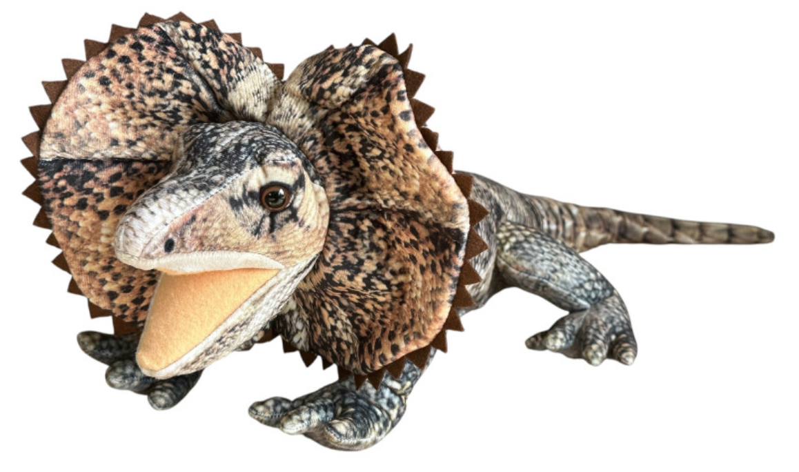 Dubi Pliušinis žaislas - agama, 65 cm aprašymas - Prekės nuotrauka