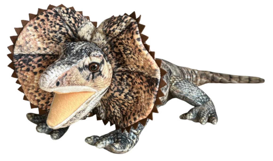 Dubi Pliušinis žaislas - agama, 65 cm aprašymas - Prekės nuotrauka