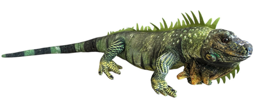 Dubi Pliušinis žaislas - iguana, 85 cm aprašymas - Prekės nuotrauka