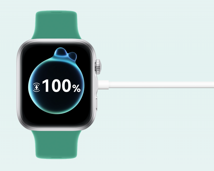 HUAWEI WATCH FIT 5 Black Fluoroelastomer Strap aprašymas - Prekės nuotrauka