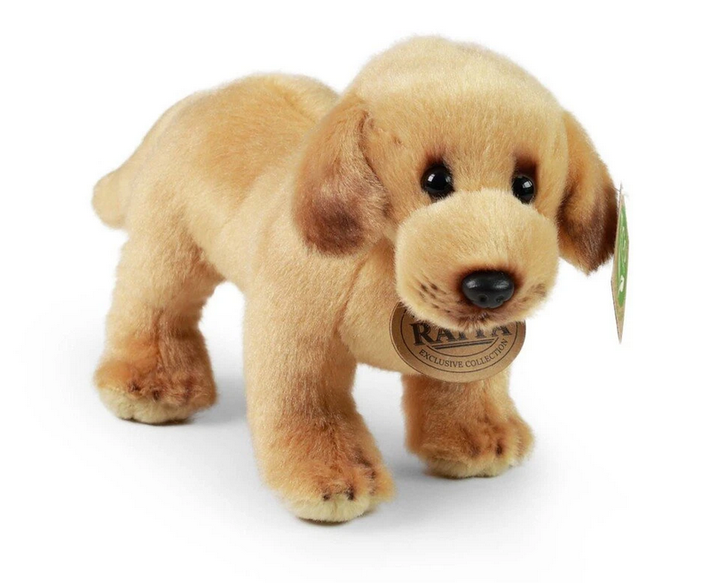 Rappa Eco-Friendly Pliušinis žaislas - labradoras, 20 cm aprašymas - Prekės nuotrauka