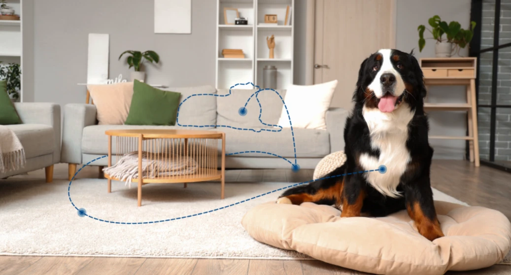 Vidaus stebėjimo kamera Eufy Indoor Cam E30, baltos spalvos aprašymas - Prekės nuotrauka