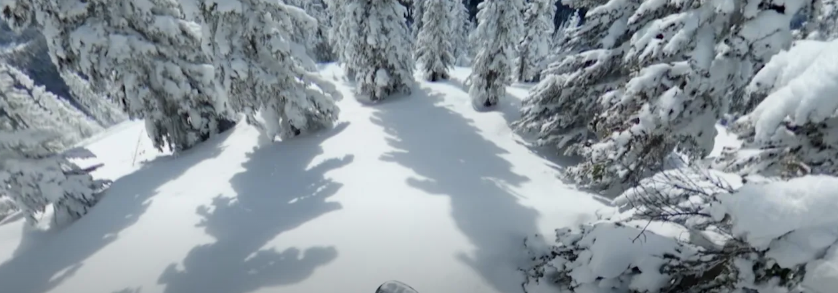 Veiksmo kamera GoPro MAX 360 aprašymas - Prekės nuotrauka