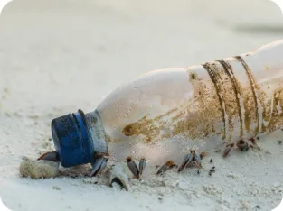 Vandens filtravimo ąsotis BRITA Glass Jug | 60-ojo jubiliejaus ribotas leidimas | Žalios spalvos | 2,5 l aprašymas - Prekės nuotrauka