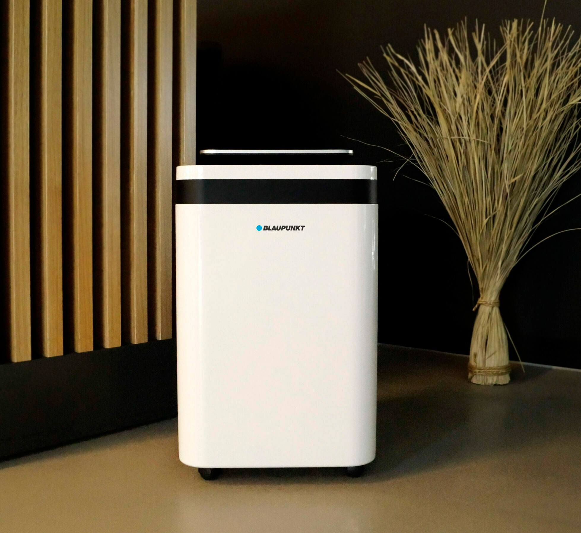 Blaupunkt Oro sausintuvas su oro valymo funkcija ADH501 aprašymas - Prekės nuotrauka