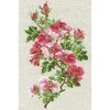 RIOLIS siuvinėjimo rinkinys 8.25"X11.75"-May Wild Rose (15 Count) -R809