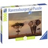Ravensburger Dėlionė 1000 vnt. - Dramblys