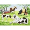 Ravensburger Dėlionė 2x24 vnt. - Arkliai