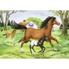 Ravensburger Dėlionė 2x24 vnt. - Arkliai
