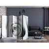 Artgeist Pertvara - Rose charade II [Room Dividers] 225x172