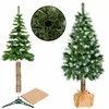 Kalėdinė eglutė Springos CT0112 220 cm su deimantiniu šerkšnu
