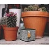 Fresh'n Rebel Bluetooth kolonėlė Rockbox Cube Fabriq Edition