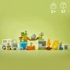 LEGO® DUPLO Nuotykiai stovykloje (10997)