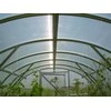 Meistro Kodas Arkinis šiltnamis KLASIKA 24 m2/4 mm danga (3x8 m)