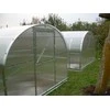 Meistro Kodas Arkinis šiltnamis KLASIKA 6 m2/4 mm danga (3x2 m)
