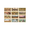 PIO Lavinanti dėlionė NUMBERS - ANIMALS, 3-6 metų vaikams