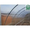 Meistro Kodas Arkinis šiltnamis KLASIKA TUBE 6 m2 6 mm danga 3 x 2 m (6 m2)