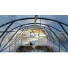 Meistro Kodas Šiltnamis BALTIC LT 3 x 12 m (36 m2) 4 mm danga