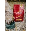 Delcon Visavertis pašaras suaugusiems šunims REGULAR su ėriena, didelių veislių / 12 kg