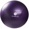Gimnast. kamuolys 75cm TOORX PRO AHF-149