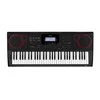 SINTEZATORIUS SU AKOMPANIMENTU CASIO CT-X3000