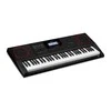 SINTEZATORIUS SU AKOMPANIMENTU CASIO CT-X3000