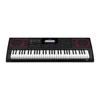 SINTEZATORIUS SU AKOMPANIMENTU CASIO CT-X3000