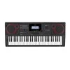 SINTEZATORIUS SU AKOMPANIMENTU CASIO CT-X5000
