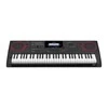 SINTEZATORIUS SU AKOMPANIMENTU CASIO CT-X5000