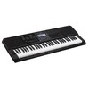 SINTEZATORIUS SU AKOMPANIMENTU CASIO CT-X800