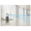 Dyson Purifier Big+Quiet - ventiliatorius, oro valytuvas BP02, pilkos spalvos