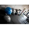 Gimnast. kamuolys 75cm TOORX PRO AHF-149
