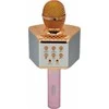 KARAOKE MIKROFONAS ANDOWL AN-Q-C107