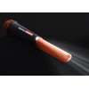 Nokta Pointer