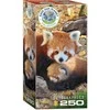 Eurographics DĖLIONĖ SAUGOKIME PLANETĄ RAUDONOJI PANDA 250D.
