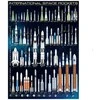 Dėlionė Tarptautinės kosminės raketos 1000